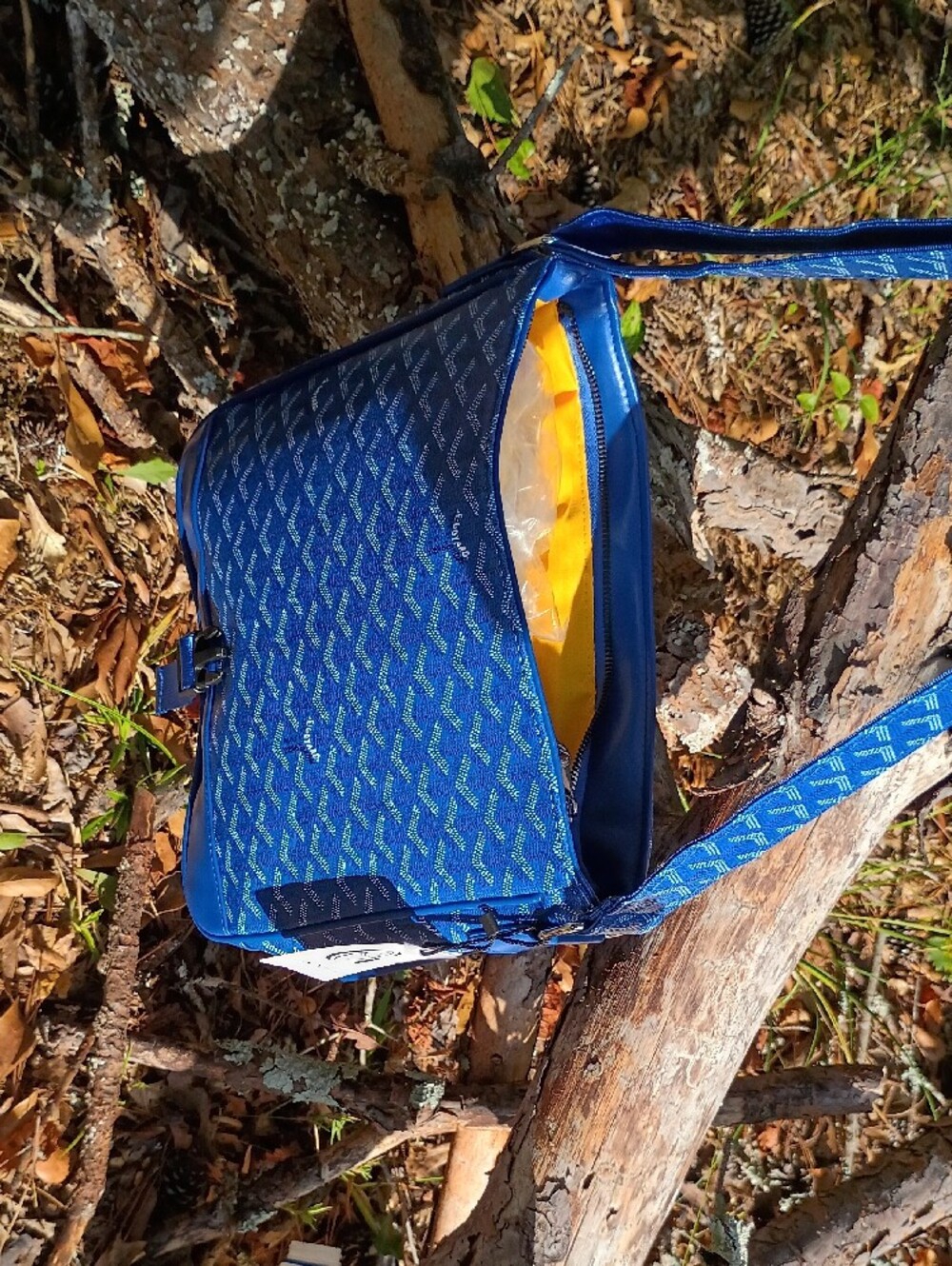 Goyard Blue Patterned Messenger Bag - Picture 9 of 9
